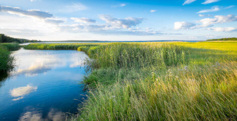 Paisaje en Gotland