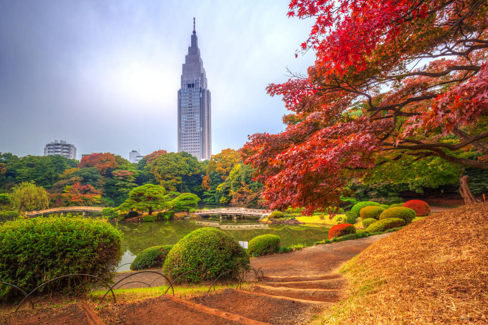 Parque Shinjuku