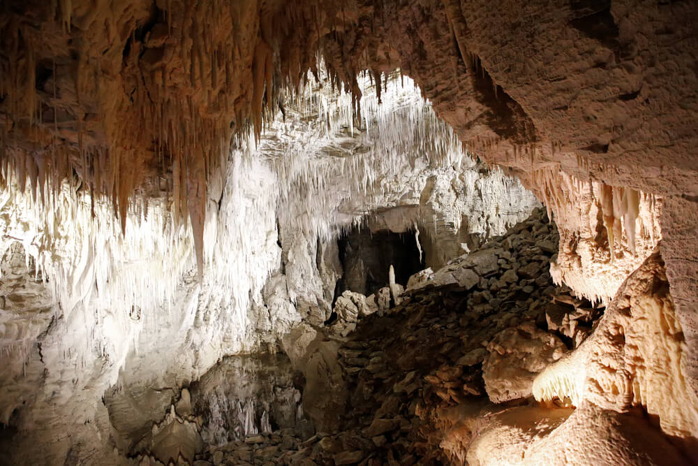 Interior de la Ruakuri Cave