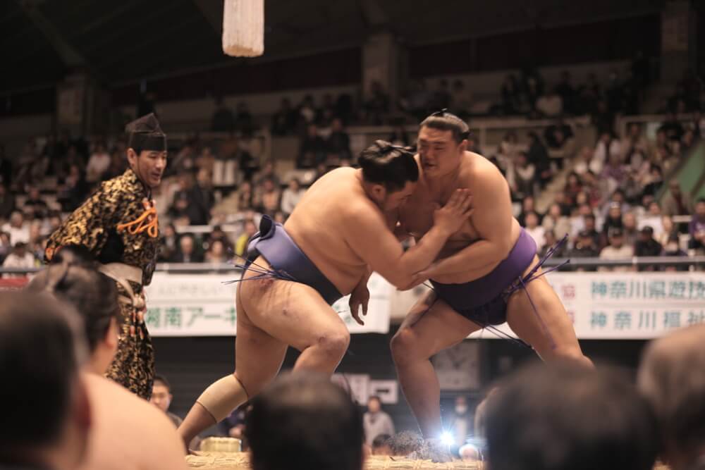 Combate de sumo