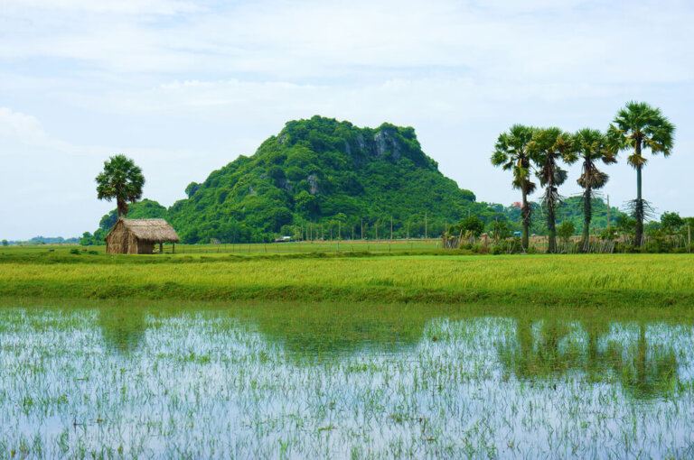 Un recorrido por el delta del río Mekong – Mi Viaje