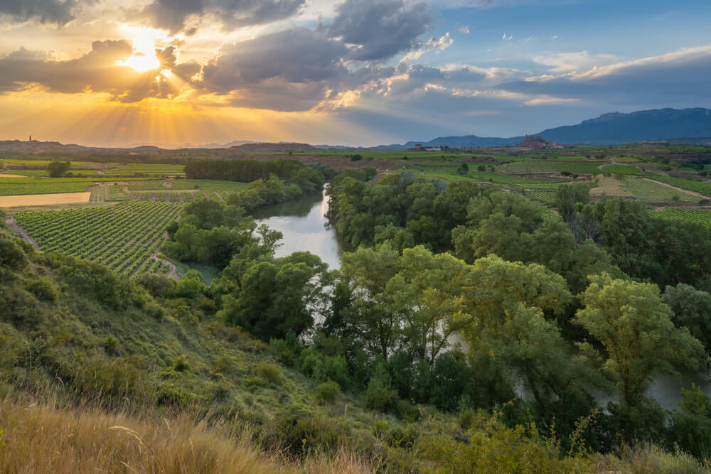 Río Ebro y viñedos