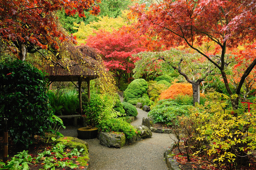 Jardín japonés