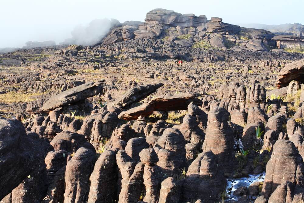 Meseta rocosa en el monte Roraima