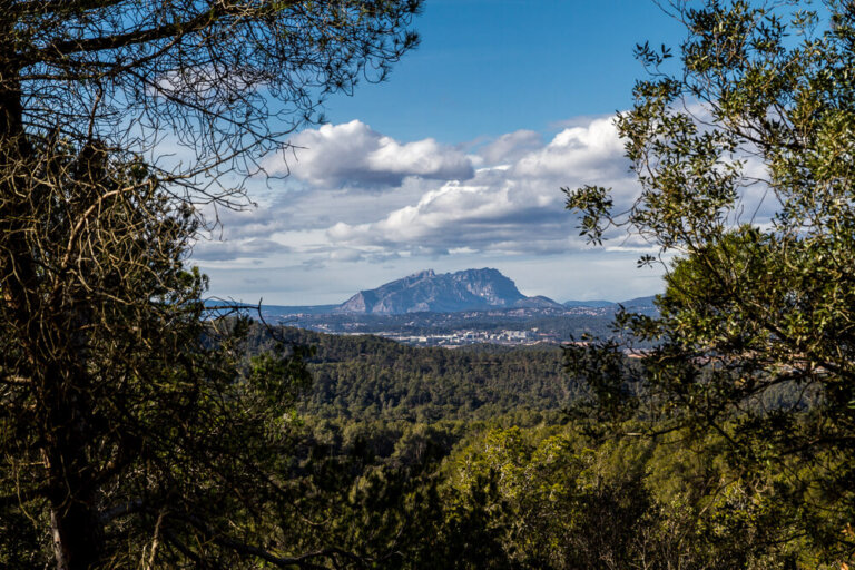 De caminata por Collserola en Barcelona