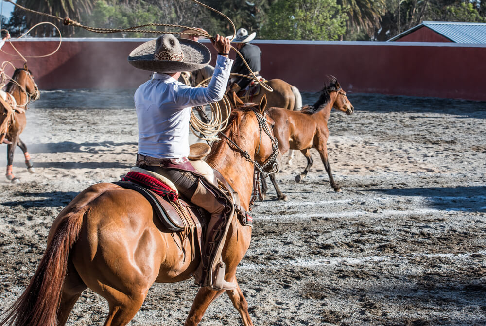 Rodeo en México