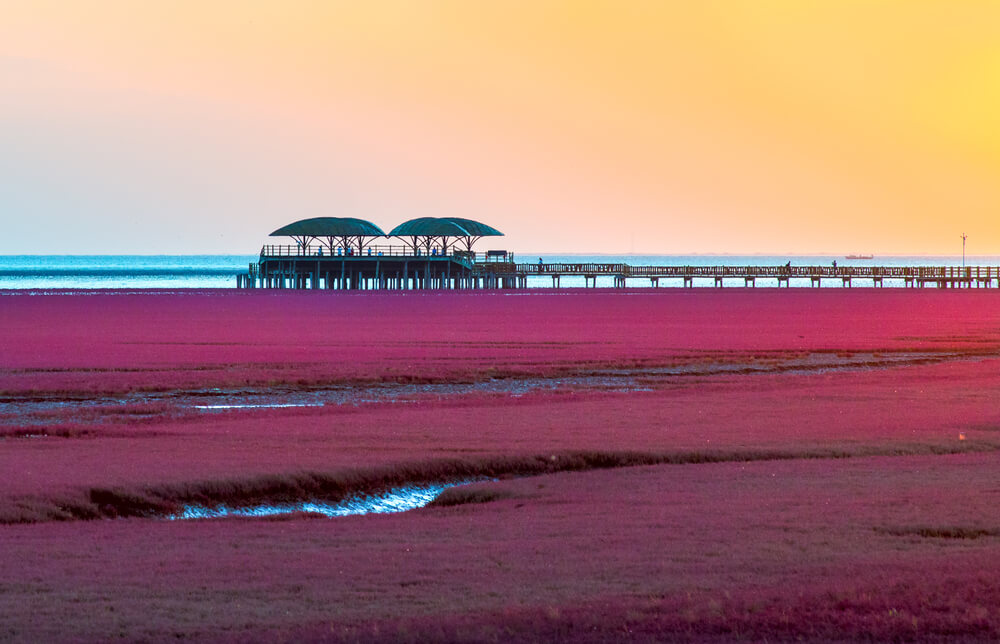 Vista al atardecer