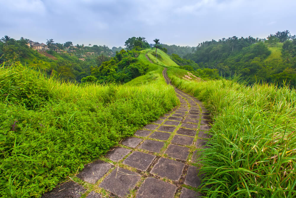 Campuhan Ridge Walk en Ubud