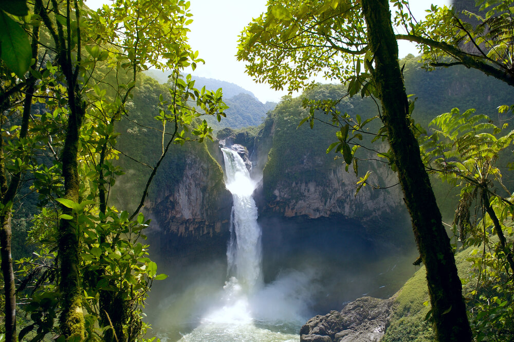 La Amazonía en Ecuador: conoce una hermosa selva