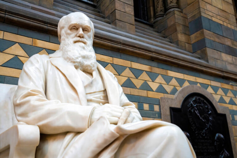 Viaje y ciencia: Charles Darwin y sus investigaciones