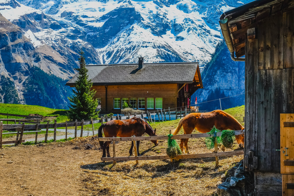 Granja en Gimmelwald