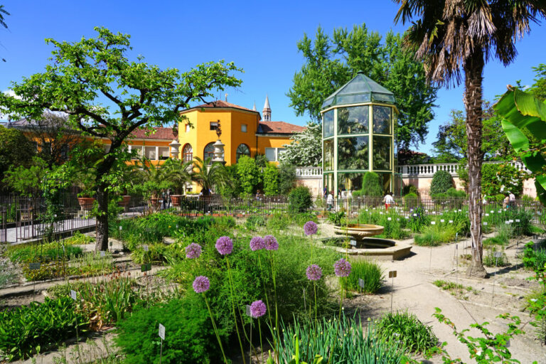 El Jardín Botánico de Padua, una joya de la humanidad