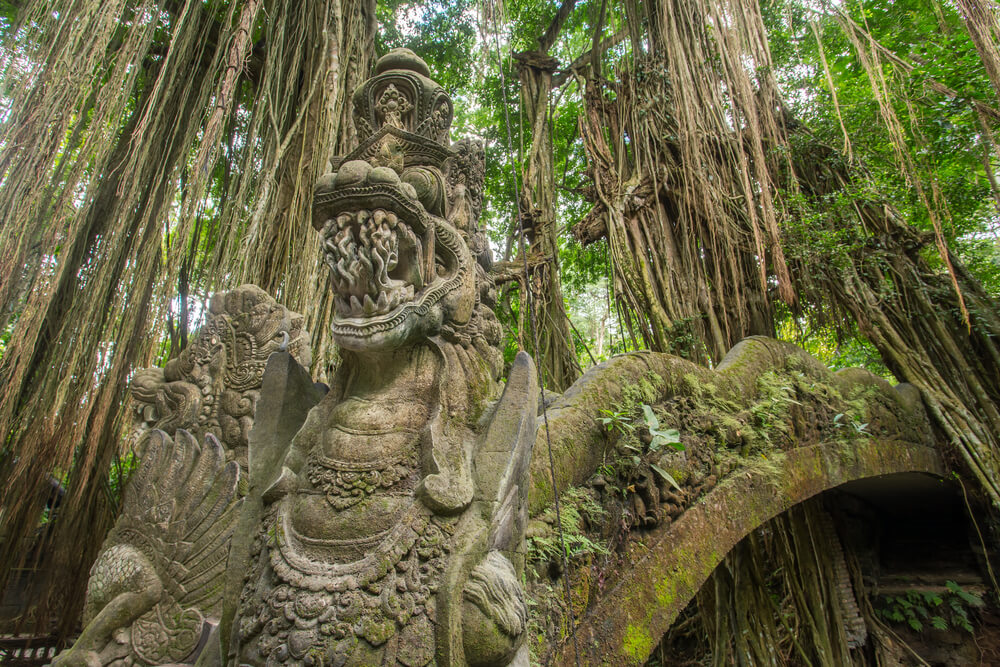 Monkey Forest en Ubud