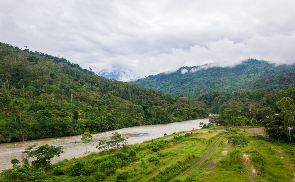 Selva en Morona Santiago
