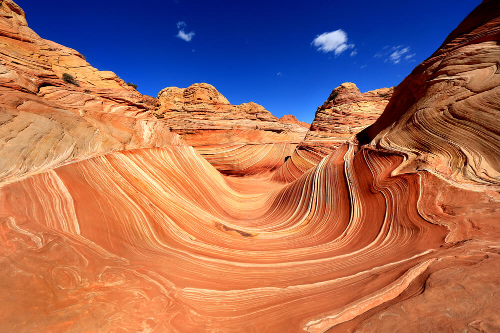 Ola del Desierto