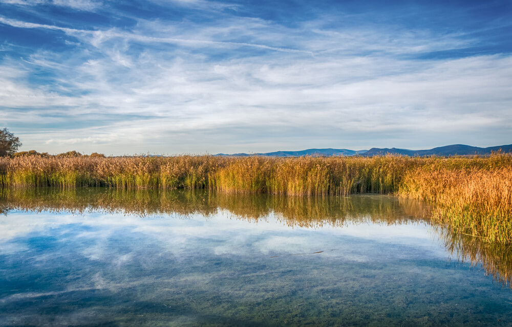 Paisaje de Las Tablas de Daimiel