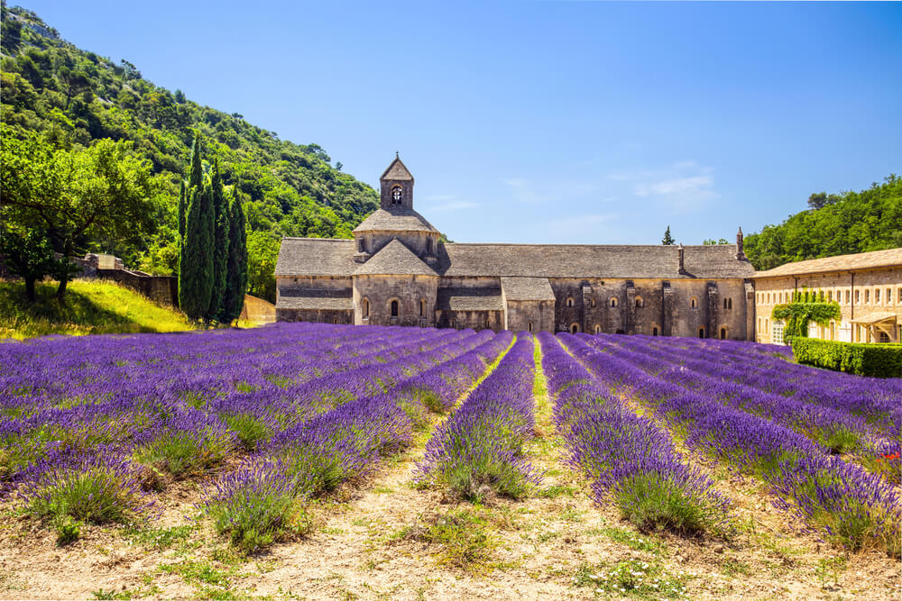 La abadía de Gordes, rodeada por campos de lavanda.