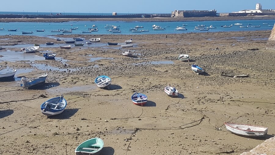 Barcas caleteras