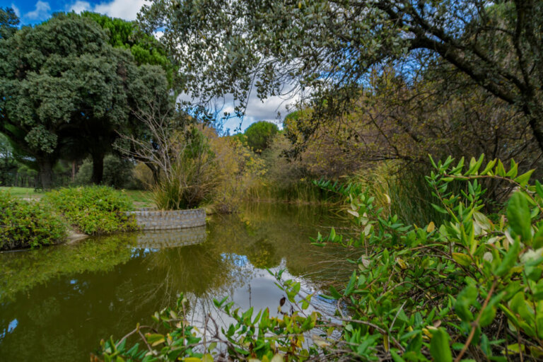 El canal del Guadarrama, la historia que nunca se escribió