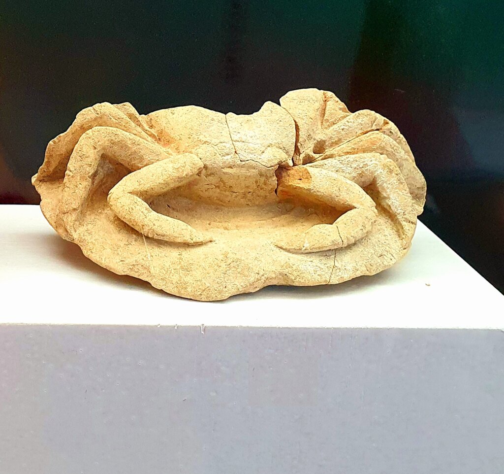 Figura de cangrejo de las excavación de los Hornos Púnicos de San Fernando.
