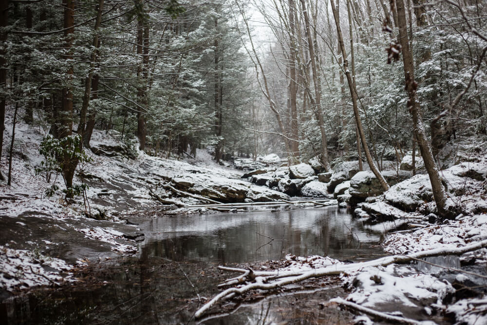 Paisaje de invierno en las Montañas Pocono.