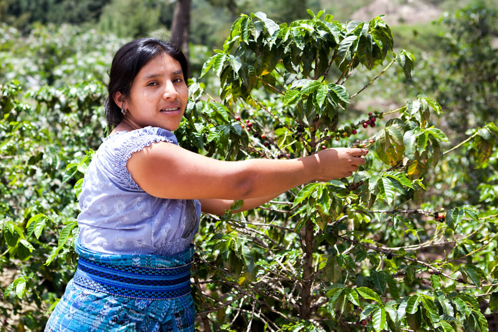 Mujer indígena de Costa Rica.