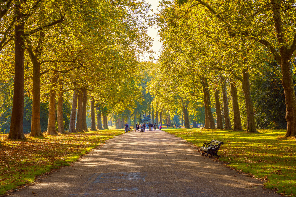 Vista de otoño en Hyde Park, Londres.