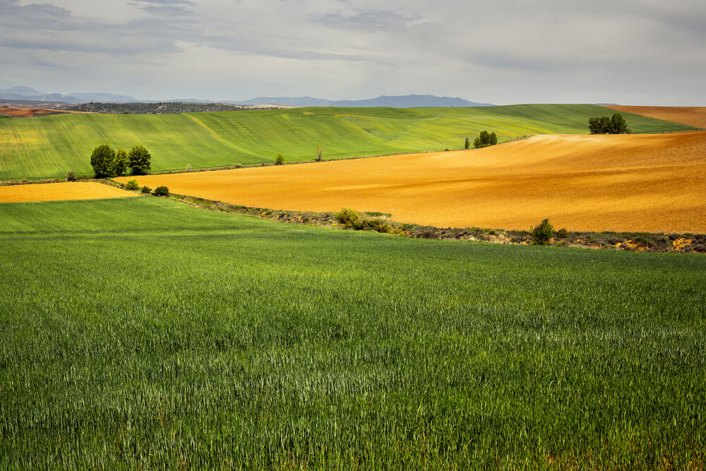 Paisaje en La Mancha, España.