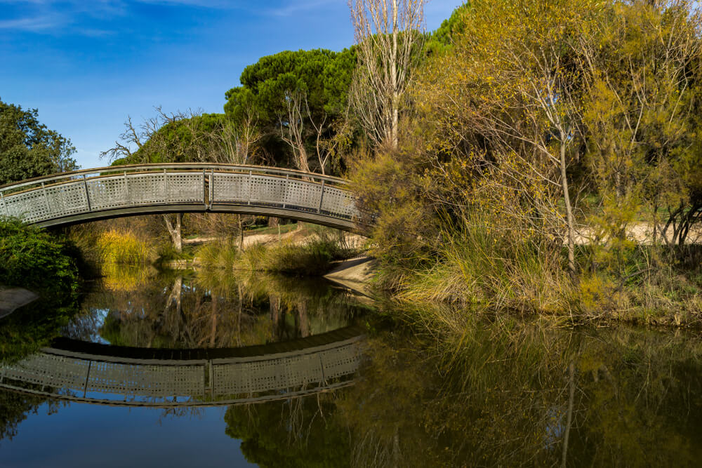 Restos del Canal del Guadarrama
