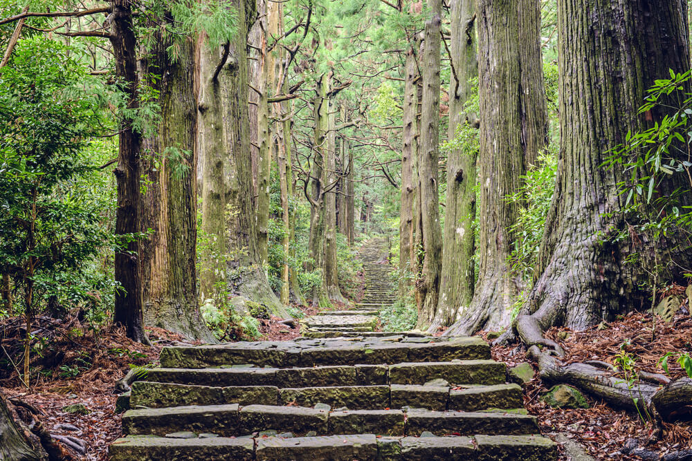 Kumano Kodo, una ruta de peregrinación de Japón