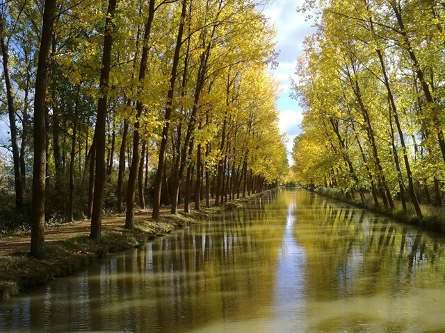 El recorrido del Canal de Castilla entre Valladolid y Palencia.