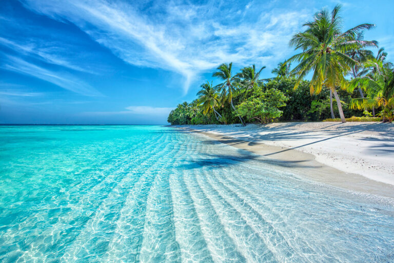 Viajar a Maldivas: consejos útiles para unas vacaciones perfectas