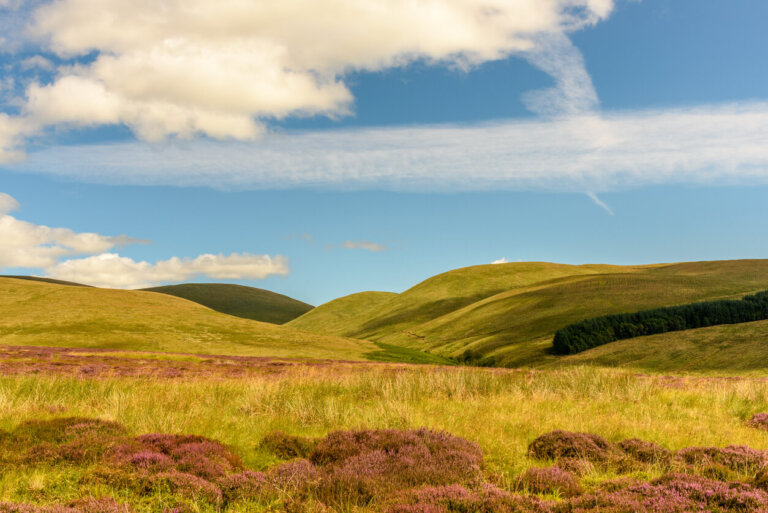 Descubre el paraíso de los Cairngorms en Escocia