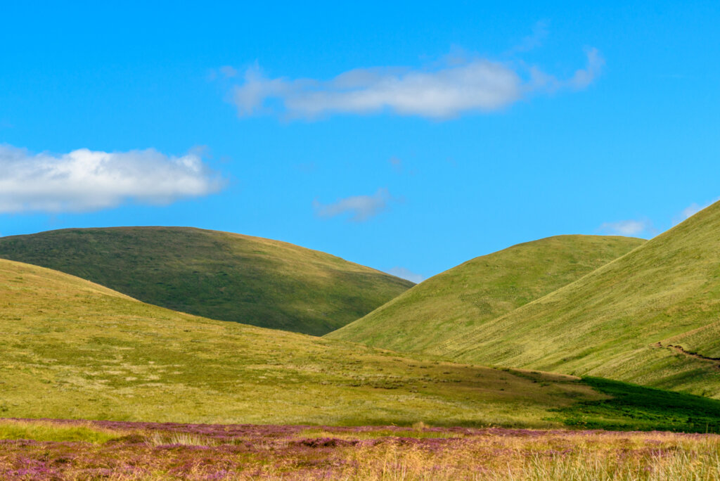 El Parque Nacional Cairgorms cuenta con abundante fauna.