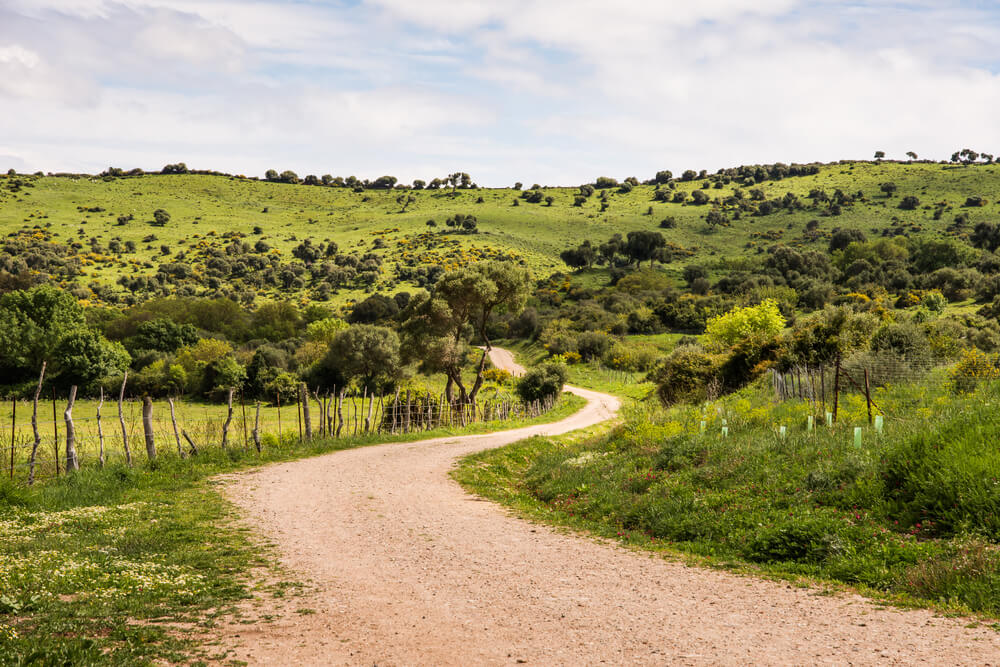 Parque Natural Los Alcornocales, en Cádiz.