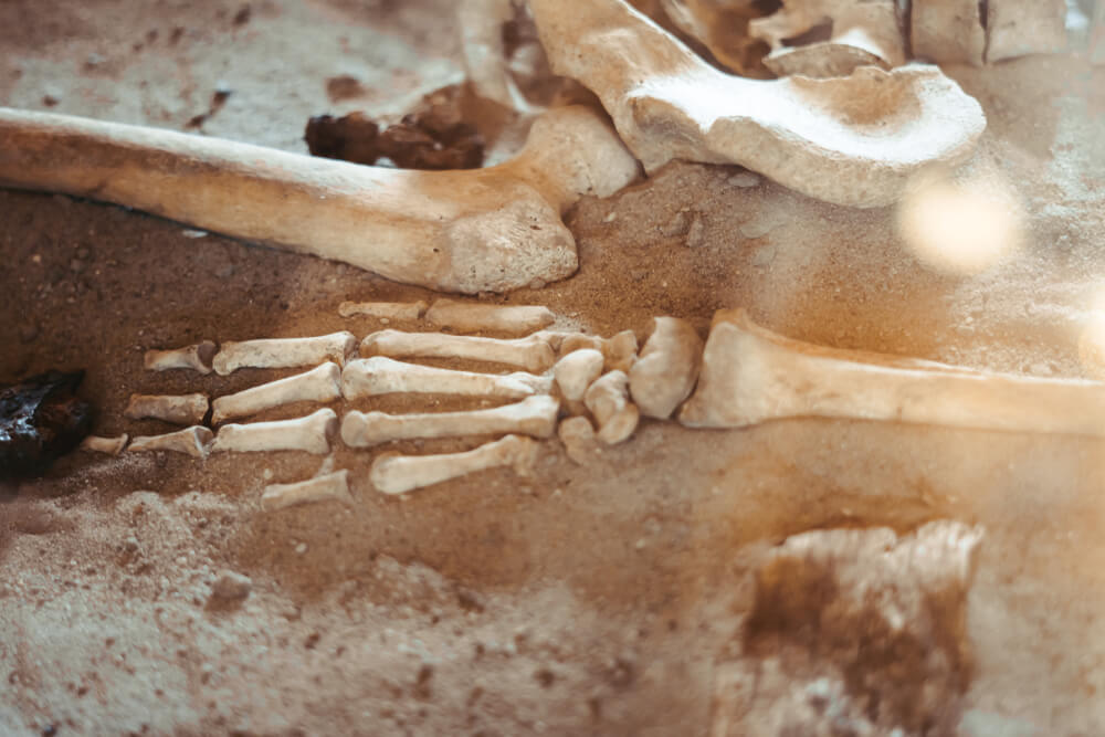 En la Sierra de Atapuerca se encontraron diversos fósiles humanos de mucho valor.
