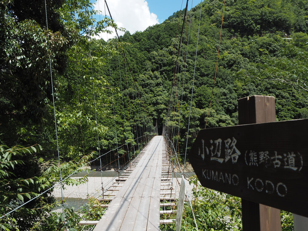 Tramo de la Ruta Kohechi de Kumano Kodo.