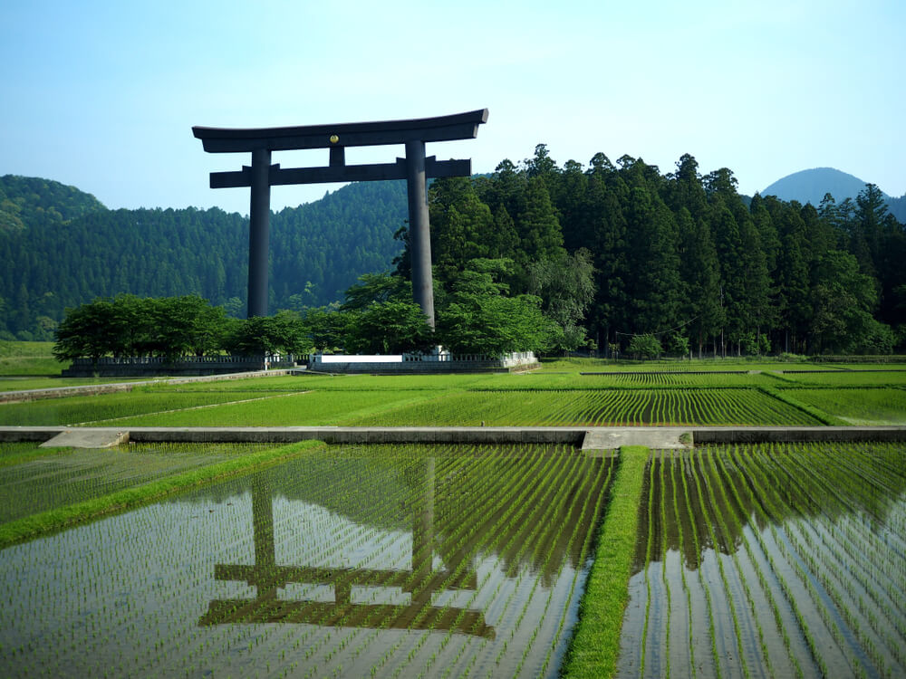 El santuario Hongu Taisha posee el torii más grande del mundo.