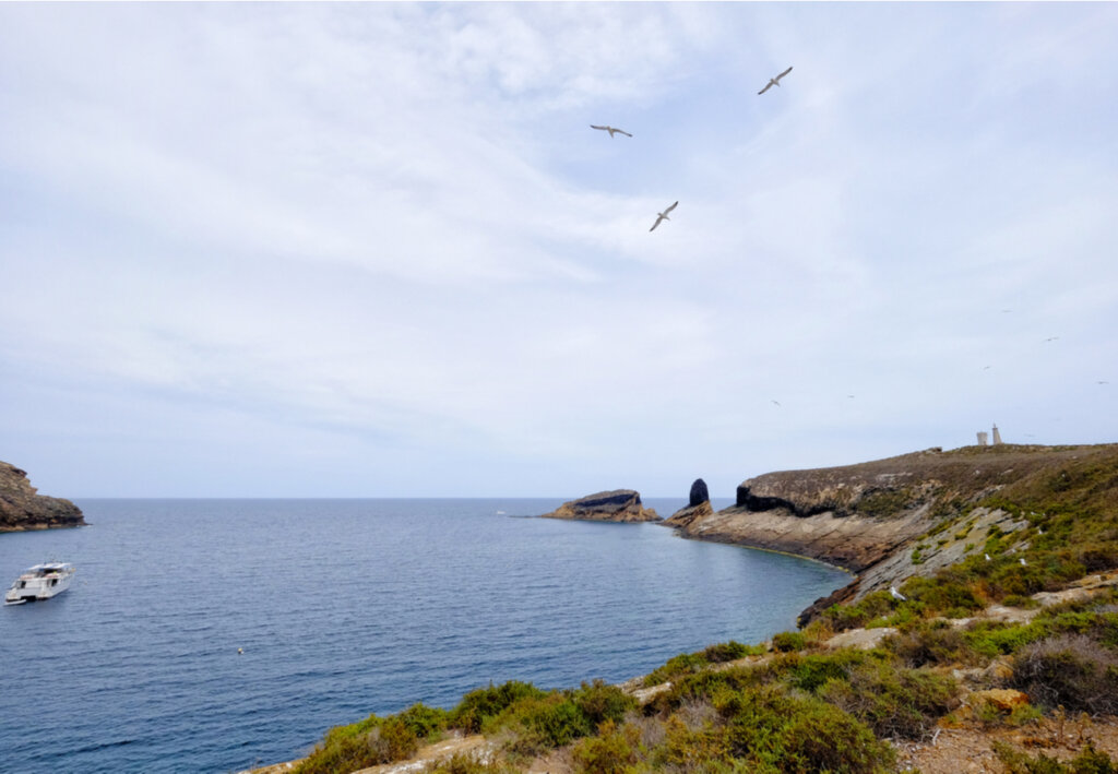 Costa de las Islas Columbretes, provincia de Castillón.
