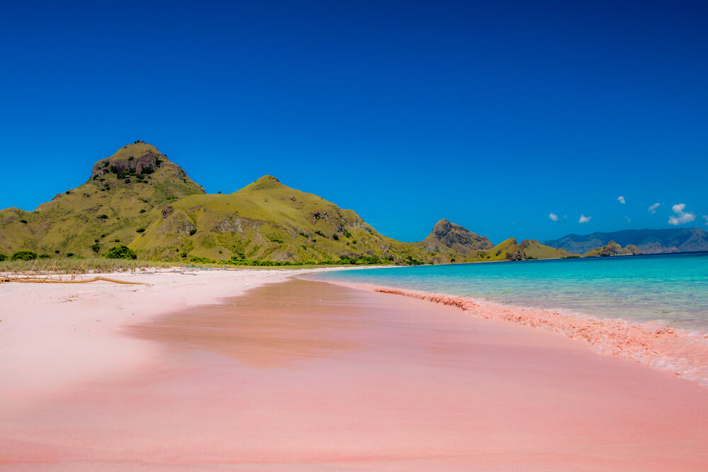 Playa rosada en la Isla de Padar, en Indonesia.