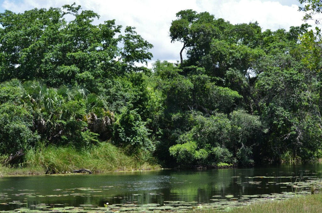 La reserva natural de Ich Ha Lol Xaan presenta una enorme variedad de fauna para conocer.