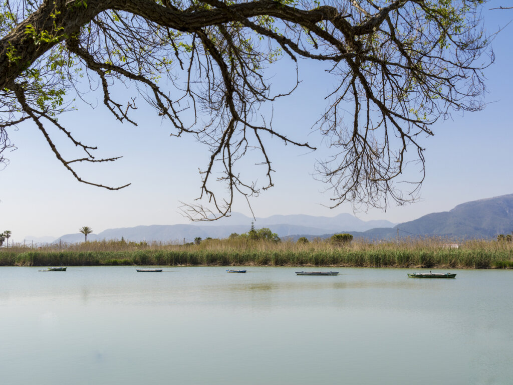 Pescadores en el lago de Estany de Cullera de Valencia.