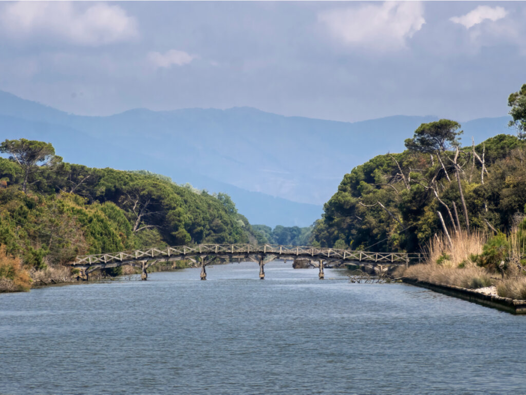 Puente flotante en el parque natural Migliarino, en Italia.