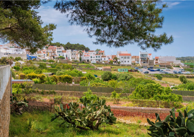 Alaior, la ciudad universitaria de Menorca