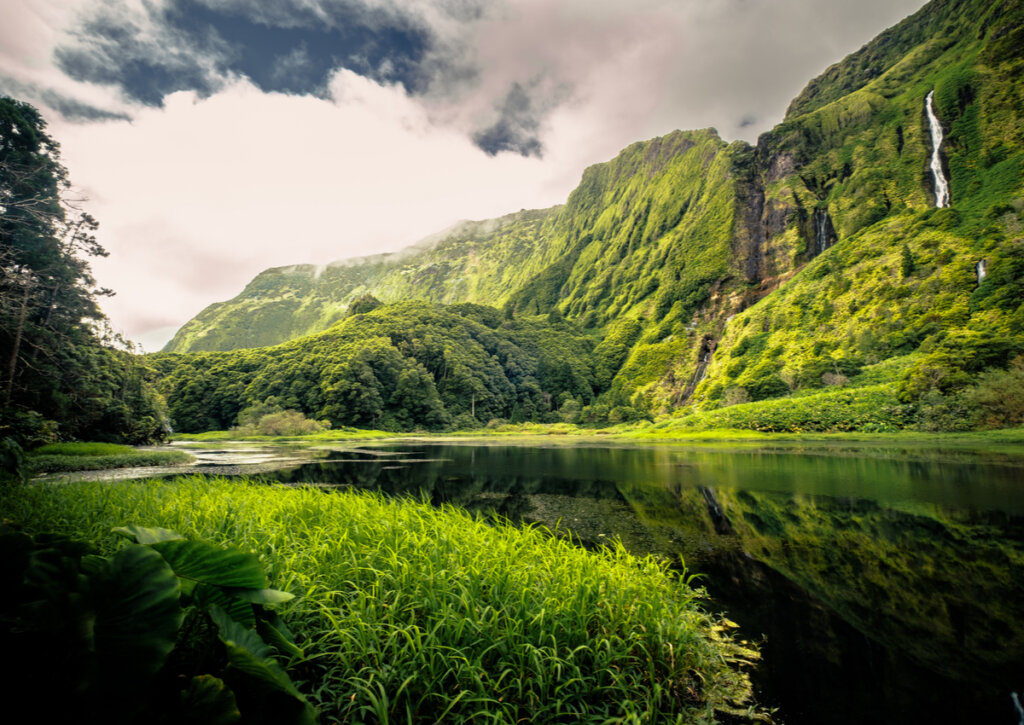 Flores, un hermoso paisaje en las Islas Azores.