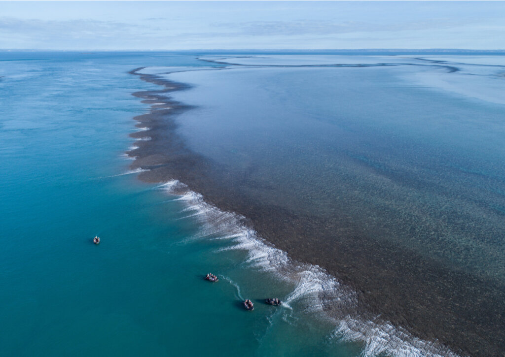 El Montgomery Reef, un sitio maravilloso en Kimberley.