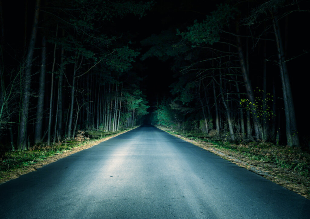 Camino oscuro y terrorífico durante la noche.