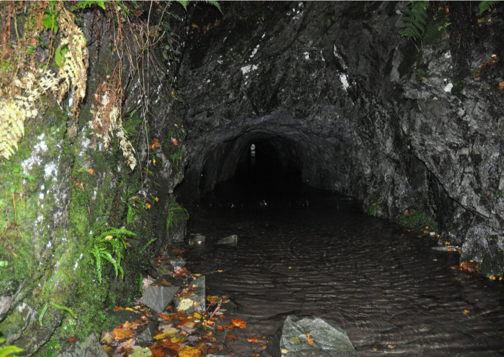 La cantera de Hodge Close es un lugar aterrador en Inglaterra.