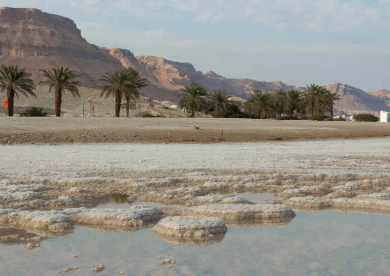 ¿Cómo se forman las islas de sal en el mar Muerto?
