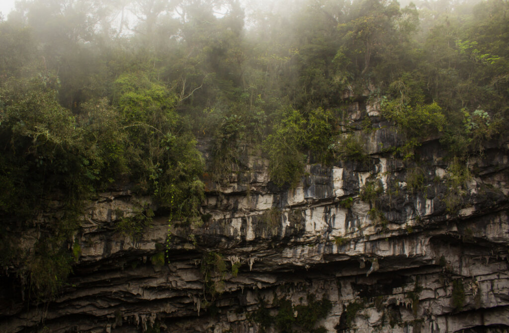 Las rocas ofrecen un bello paisaje en este lugar de México.